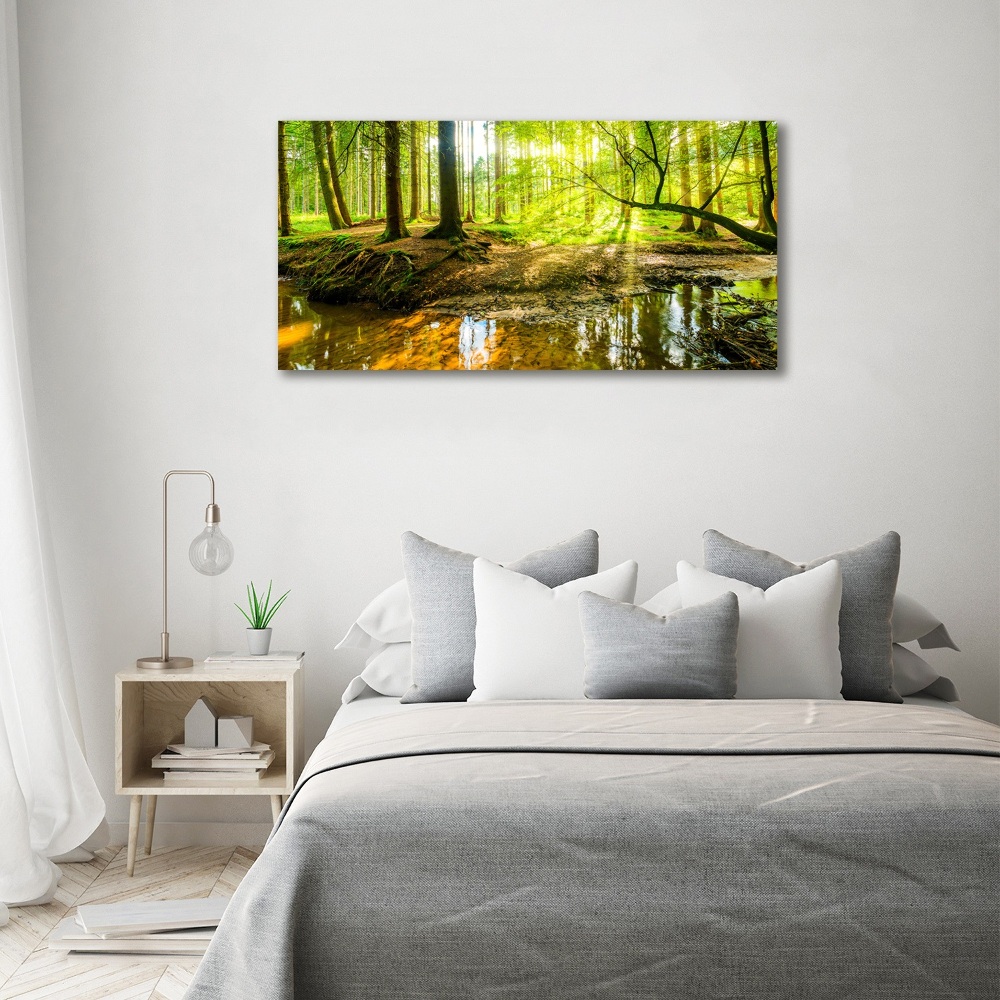 Print on acrylic Pond in the forest