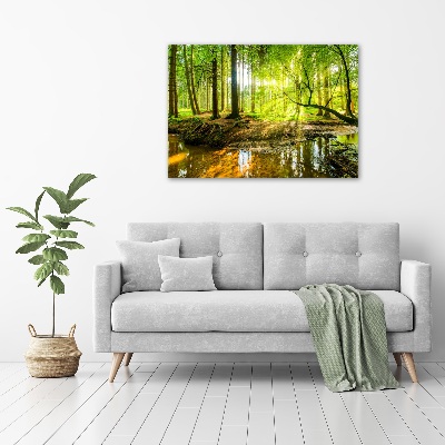 Print on acrylic Pond in the forest