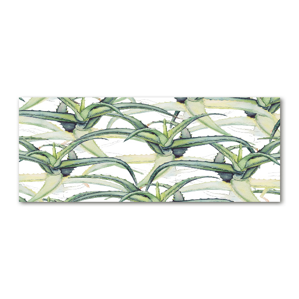 Acrylic wall art Aloe