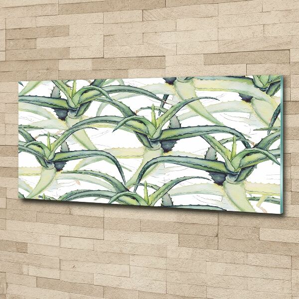 Acrylic wall art Aloe