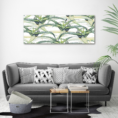 Acrylic wall art Aloe