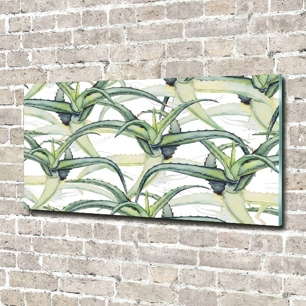 Acrylic wall art Aloe