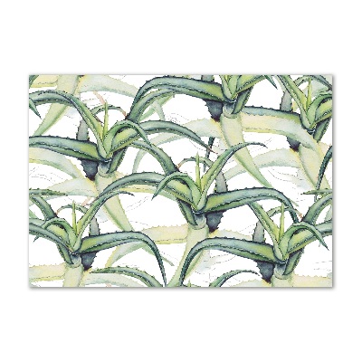 Acrylic wall art Aloe