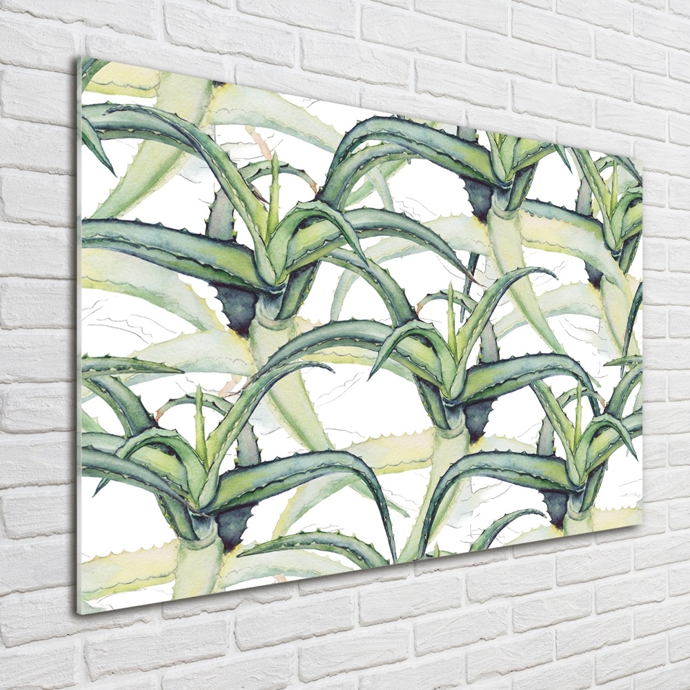 Acrylic wall art Aloe