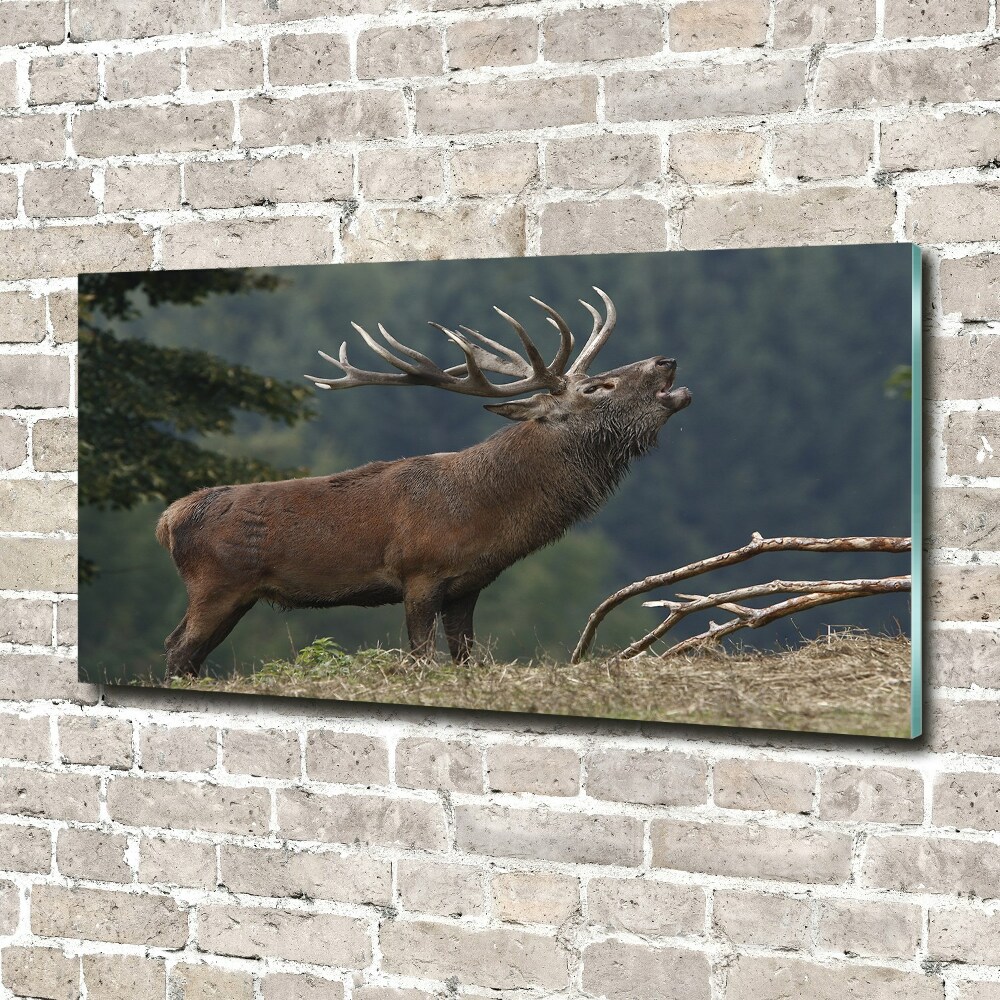 Wall art acrylic Deer on the hill