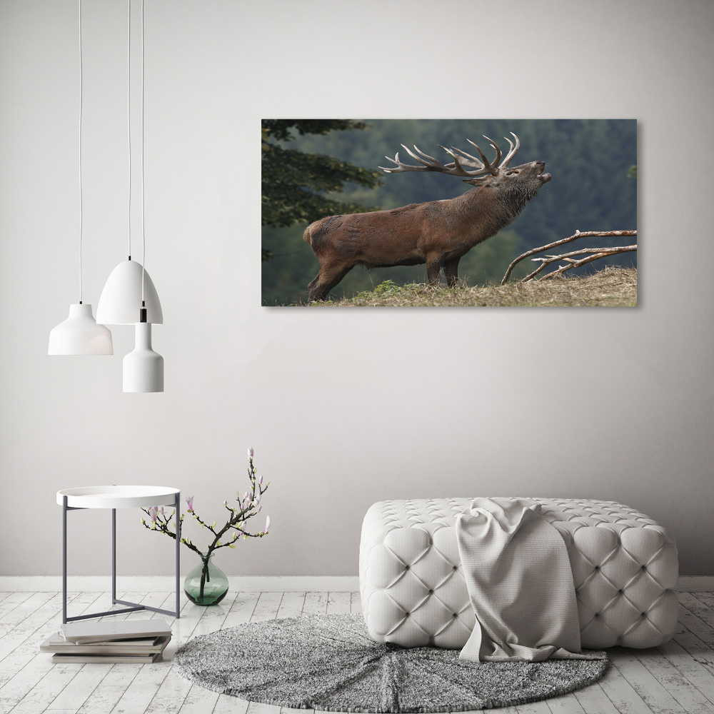 Wall art acrylic Deer on the hill