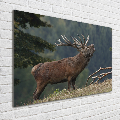 Wall art acrylic Deer on the hill