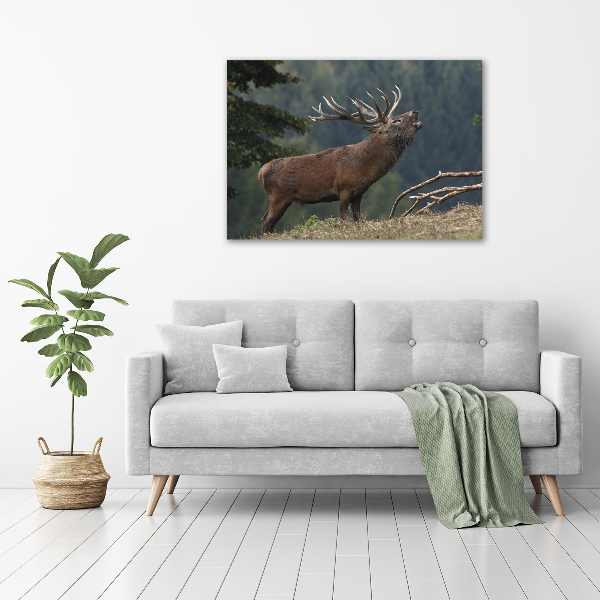 Wall art acrylic Deer on the hill