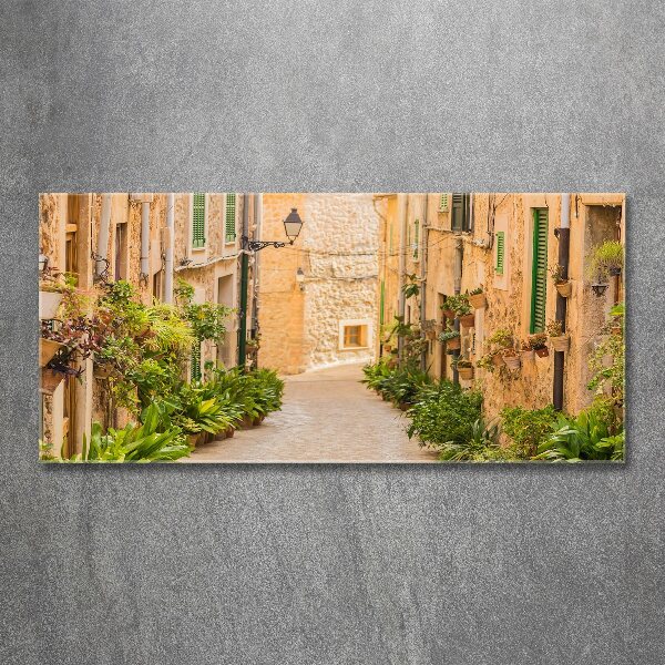 Wall art acrylic Historic streets