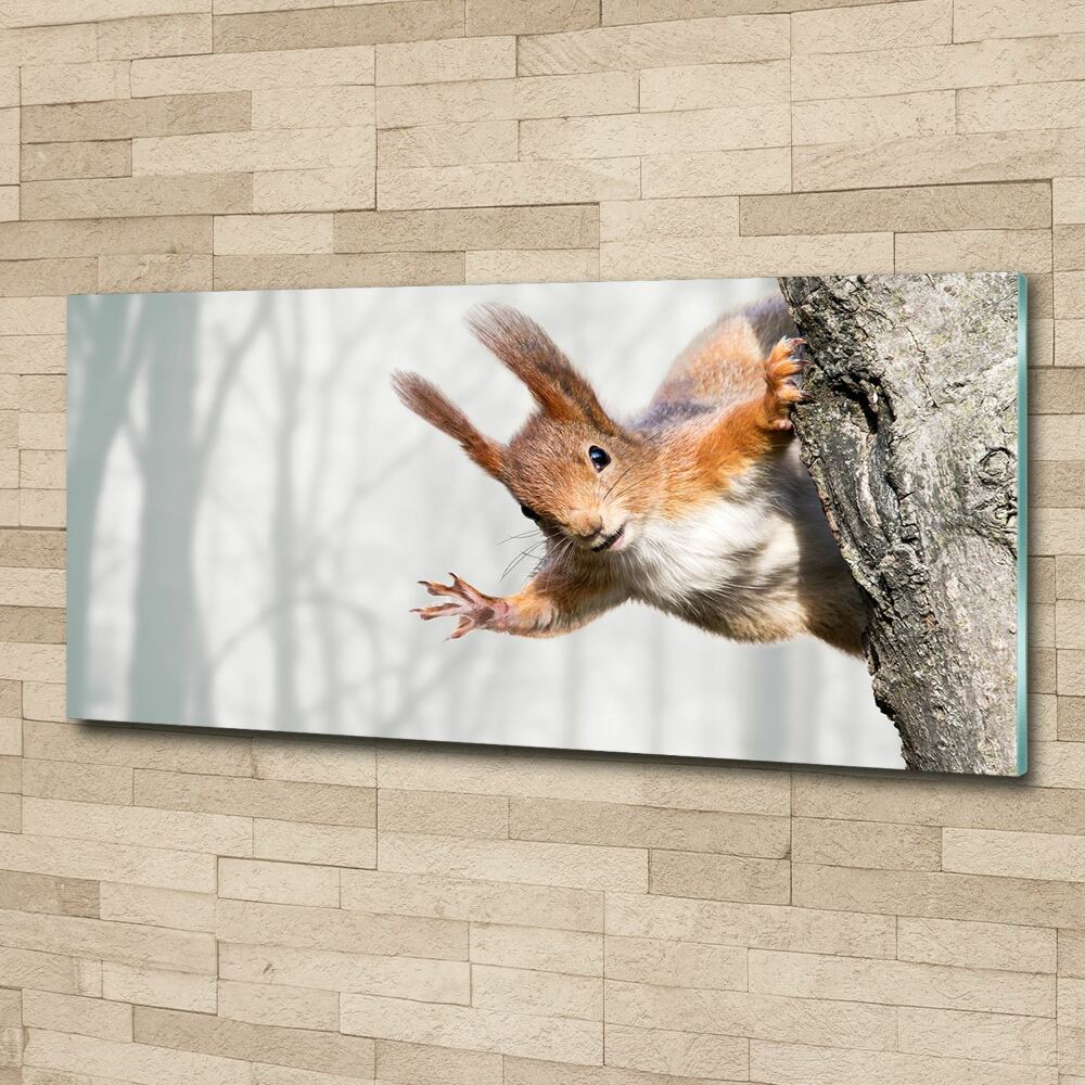 Wall art acrylic Squirrel