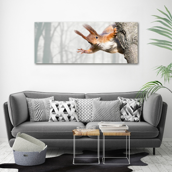 Wall art acrylic Squirrel