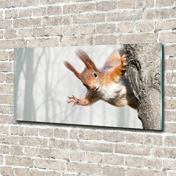 Wall art acrylic Squirrel