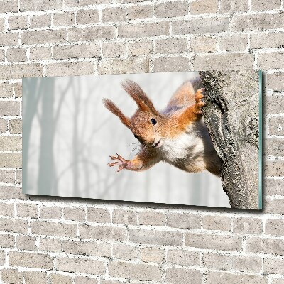 Wall art acrylic Squirrel