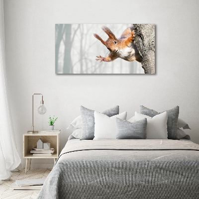 Wall art acrylic Squirrel