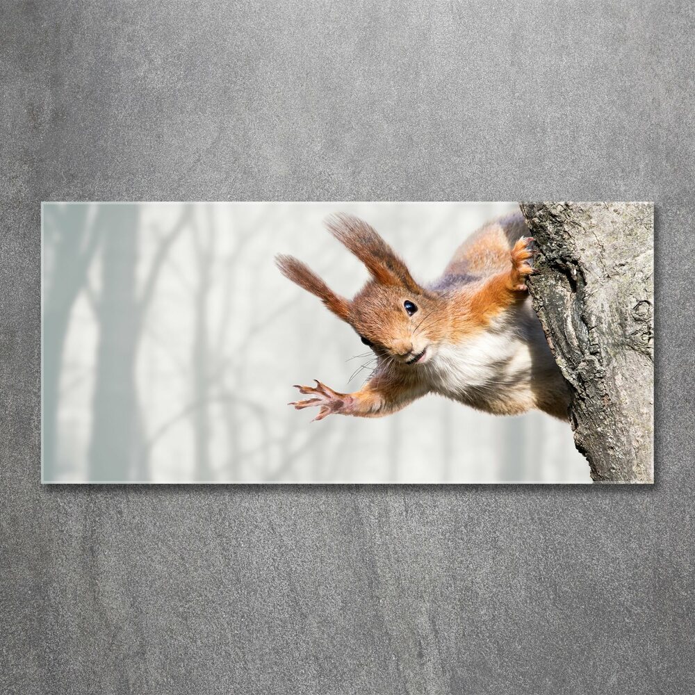 Wall art acrylic Squirrel