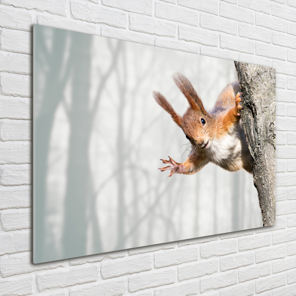 Wall art acrylic Squirrel