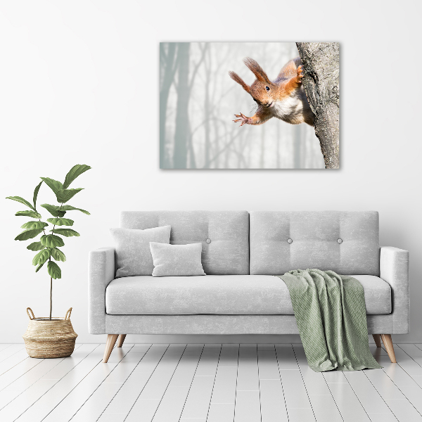 Wall art acrylic Squirrel