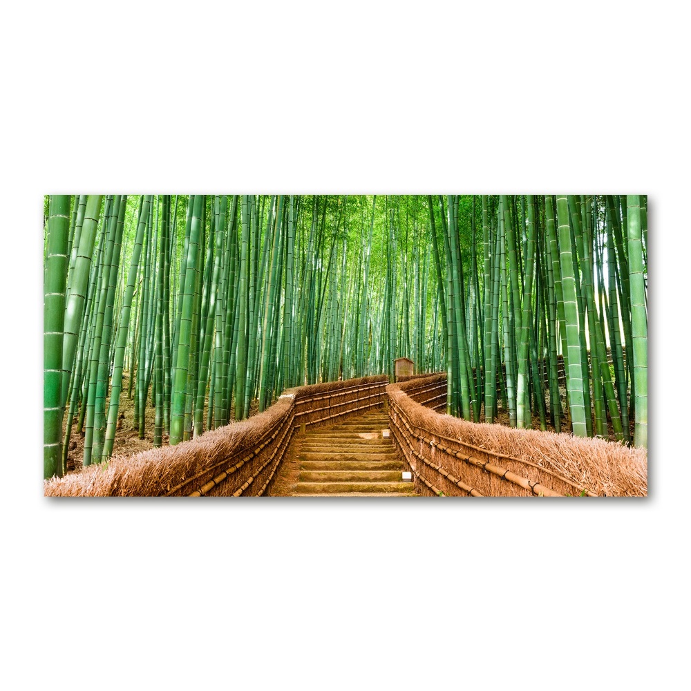 Wall art acrylic Bamboo forest