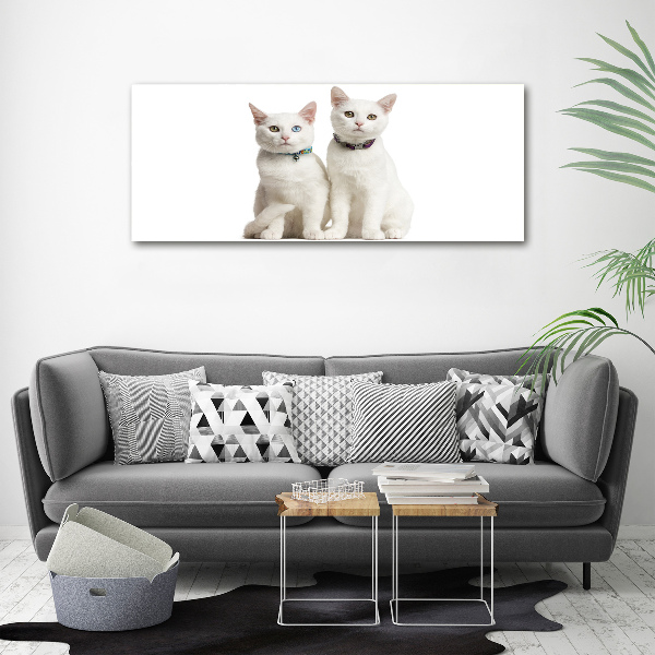 Acrylic wall art White cats