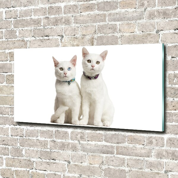 Acrylic wall art White cats