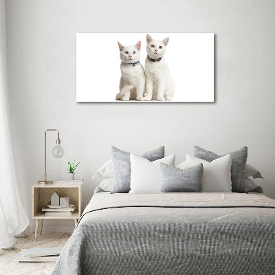 Acrylic wall art White cats