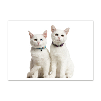 Acrylic wall art White cats