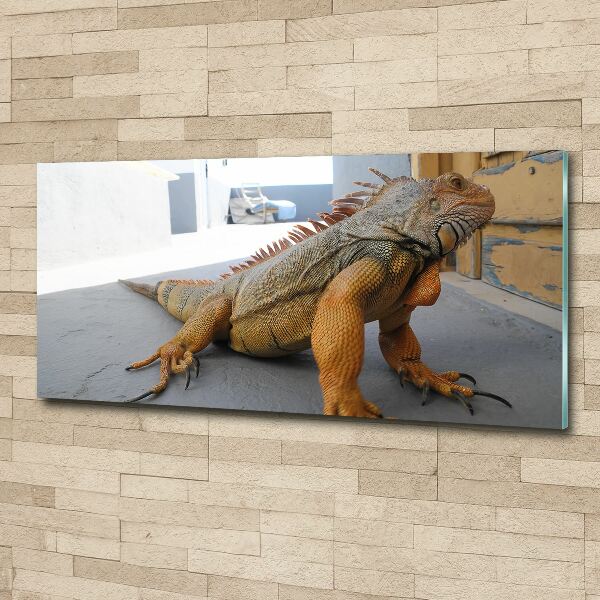 Acrylic wall art Iguana