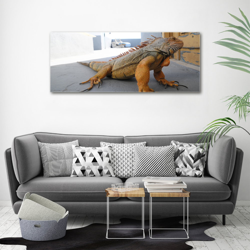 Acrylic wall art Iguana