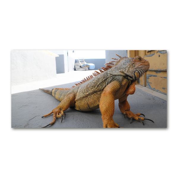 Acrylic wall art Iguana