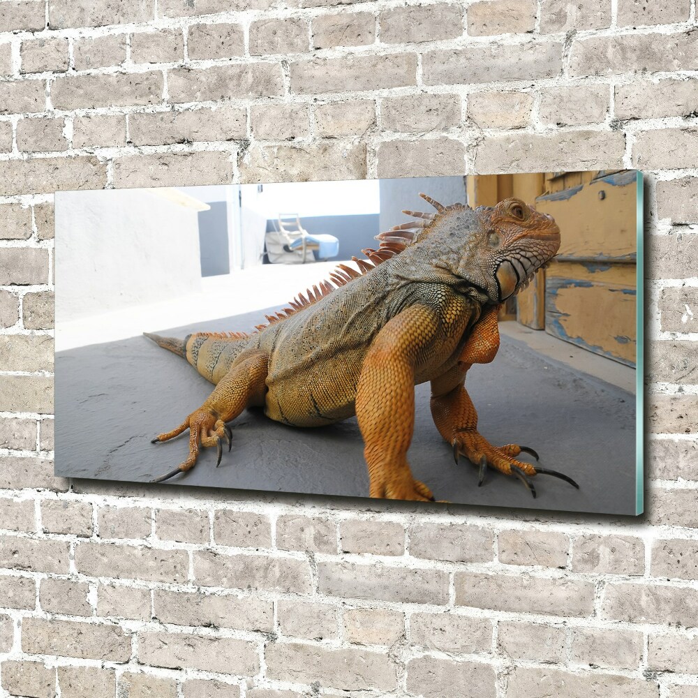 Acrylic wall art Iguana