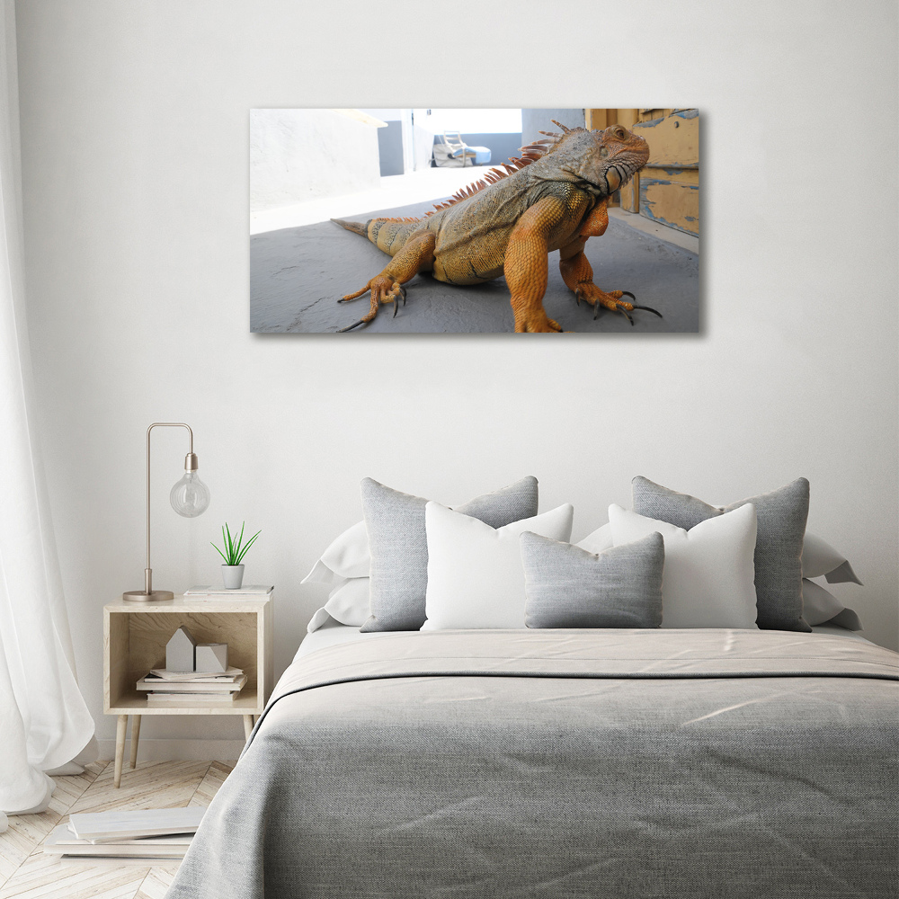 Acrylic wall art Iguana