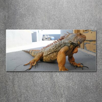 Acrylic wall art Iguana