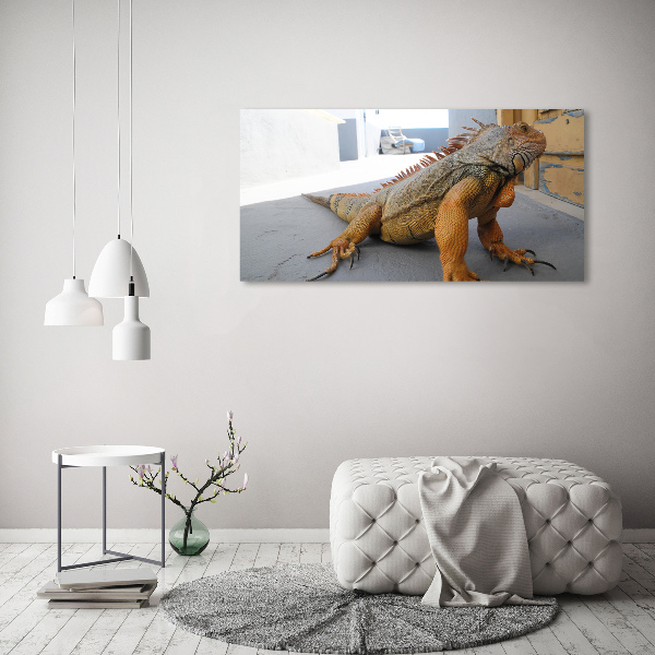 Acrylic wall art Iguana