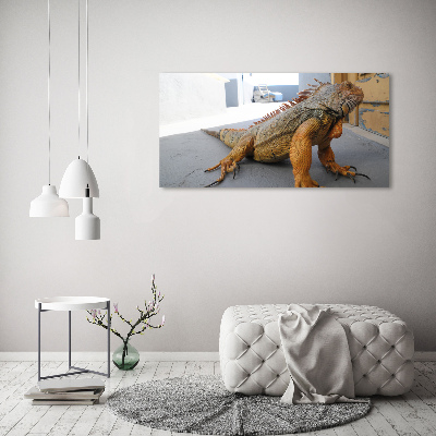 Acrylic wall art Iguana