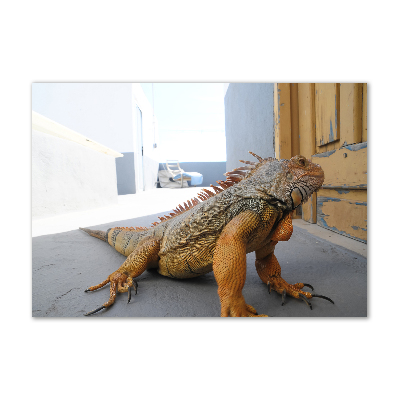 Acrylic wall art Iguana