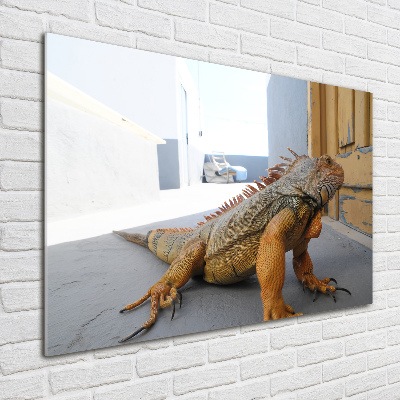 Acrylic wall art Iguana