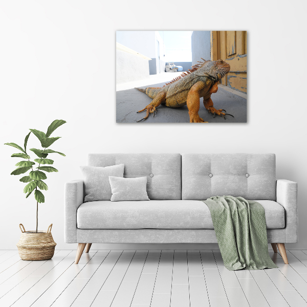 Acrylic wall art Iguana