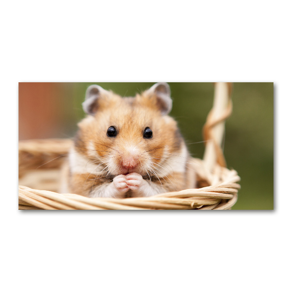 Acrylic print Hamster in the basket