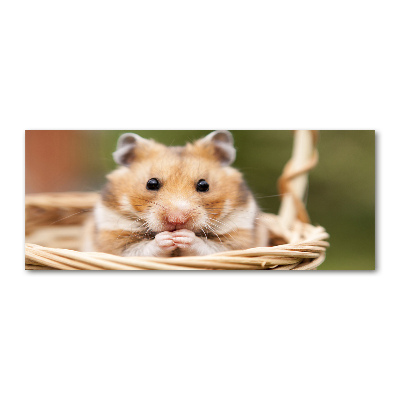 Acrylic print Hamster in the basket