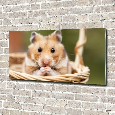 Acrylic print Hamster in the basket