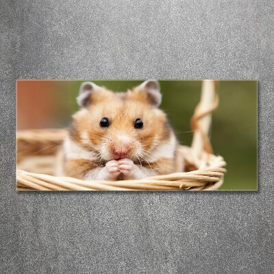 Acrylic print Hamster in the basket