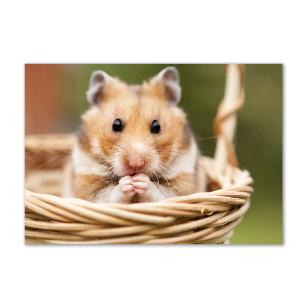 Acrylic print Hamster in the basket