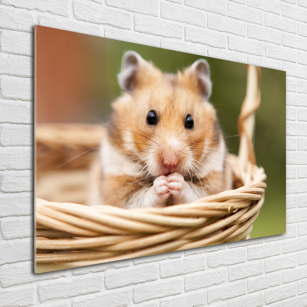 Acrylic print Hamster in the basket