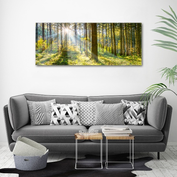 Print on acrylic Forest in the sun