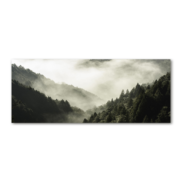 Wall art acrylic Fog over the forest