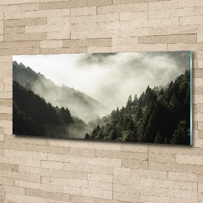 Wall art acrylic Fog over the forest