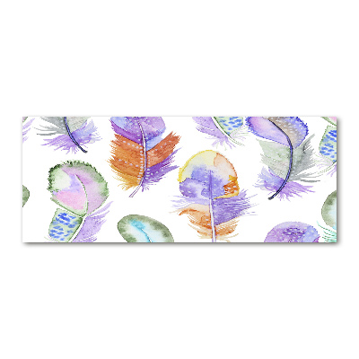 Wall art acrylic Colorful feathers