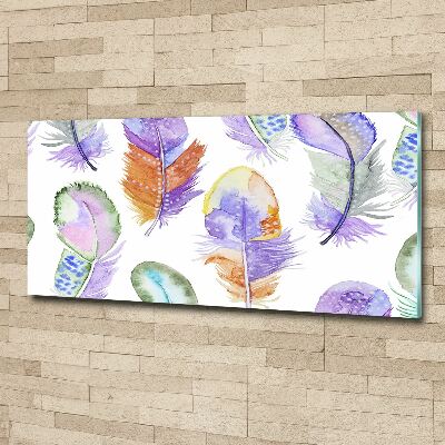 Wall art acrylic Colorful feathers