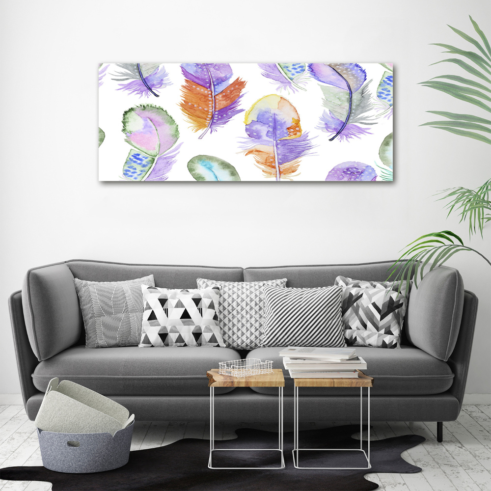 Wall art acrylic Colorful feathers