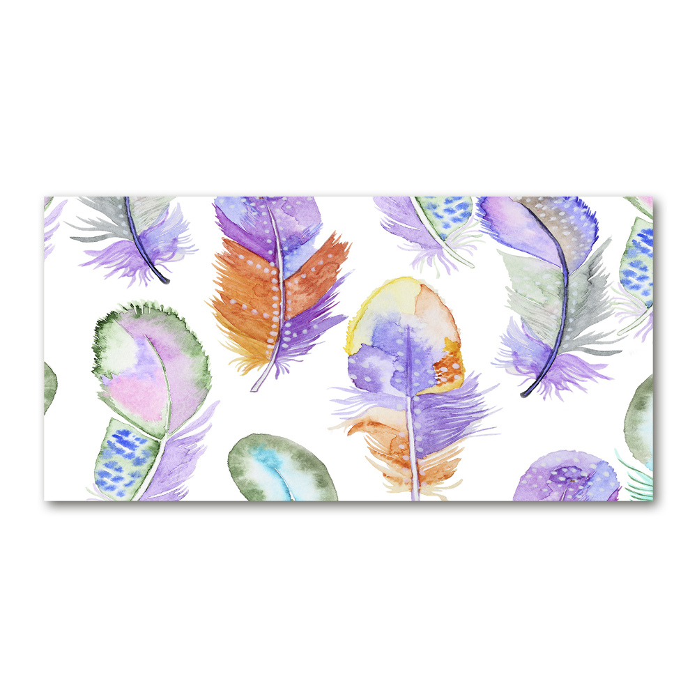 Wall art acrylic Colorful feathers